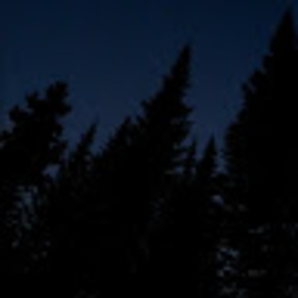 Meet your Posher, Kyleigh - Picture 1 of 1